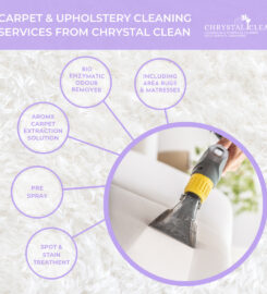 Chrystal Clean